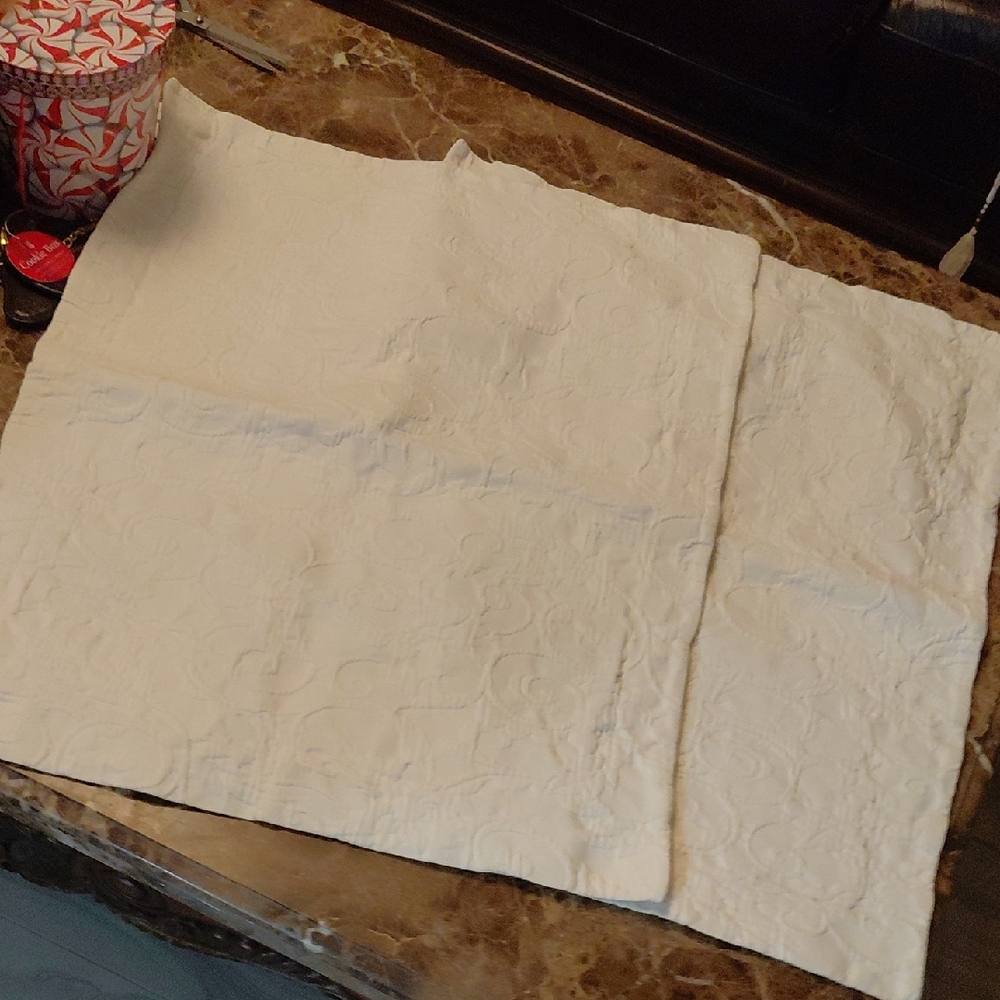 Pottery Barn Cream Pillow Case Set